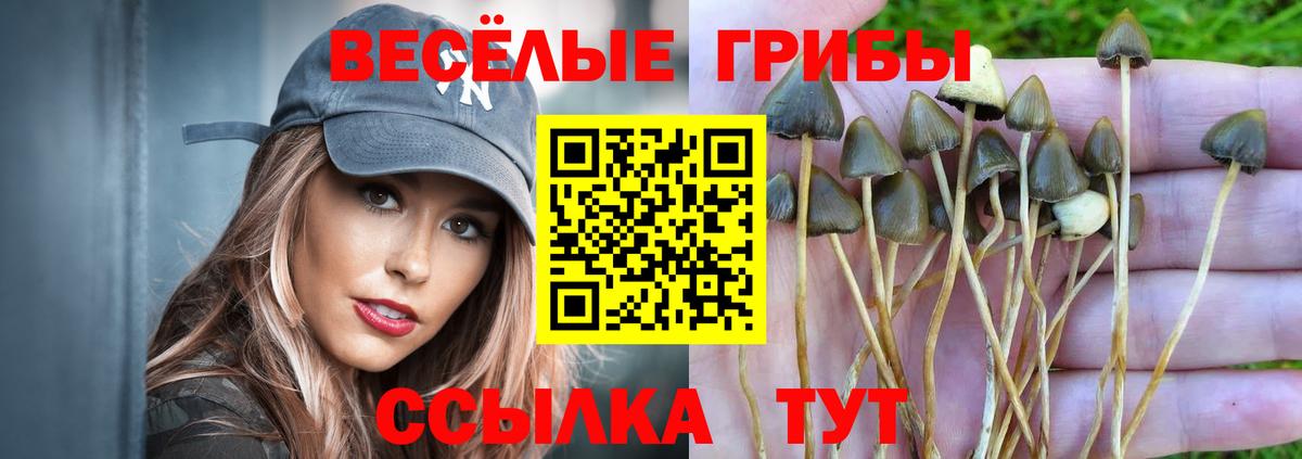 Галлюциногенные грибы Cubensis  Вход с VPN  Зеленодольск 